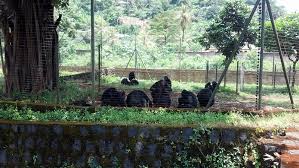 Limbe Tour